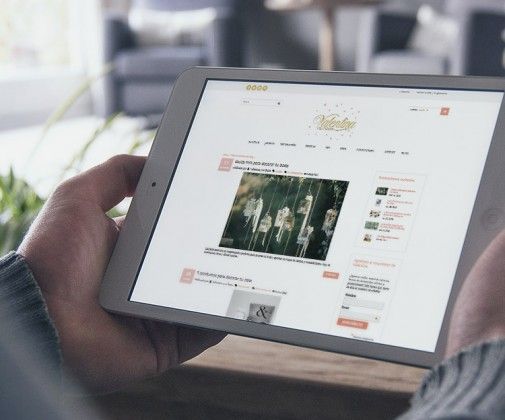 diseño web y blog para tienda online